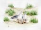 Preview: Postcard DIN-A6  Watercolor Maritime Art Print Denmark North Sea Baltic Sea Dune Dunes Beach Seagull Seagulls